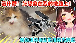 當你發現直播中的蘿蔔子在搖頭晃腦的，請別擔心，她不是要跌倒也不是喝醉了，而是在做運動。蘿蔔子：我這兩天開台都會順便偷偷的運動。【蘿蔔子/ロボ子/ROBOCO】【HOLOLIVE中文】