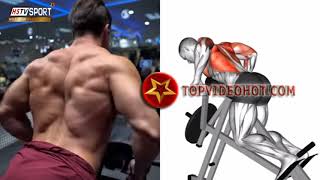 những bài tập xây dựng cơ lưng cho ae đam mê gym