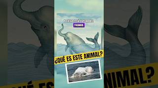 El Trunko. Un misterio resuelto.