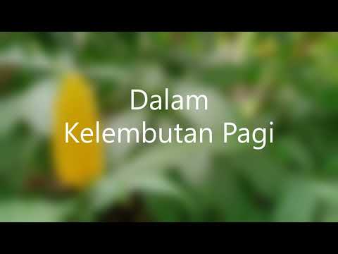 Dalam Kelembutan Pagi