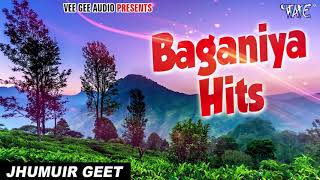 #Baganiya_Hits  #Zubeen Garg New Chaybaganiya Gaan