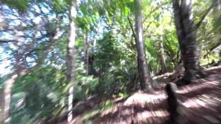 Mad Cow trail, Whangarei