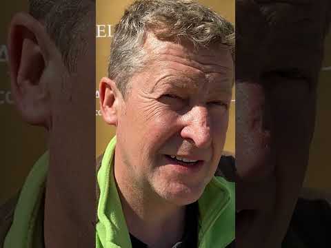 Andreas Nägele - invisible expert