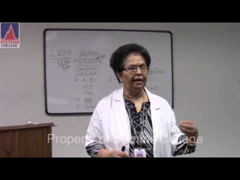 Comprehensive Review - PART 1