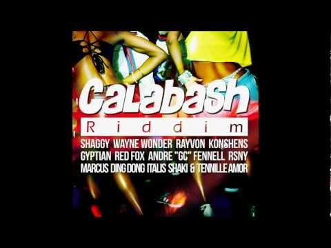 Not The One - Tennille Amor (Calabash Riddim) (Official Audio)