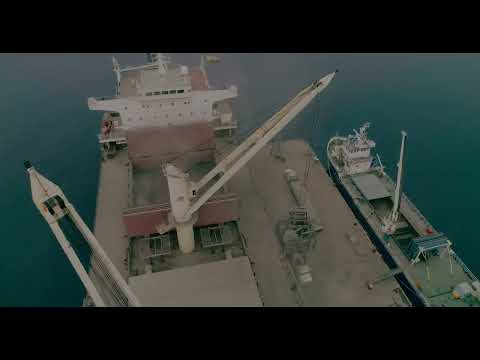 mv LAUSANNE Manzanillo, by courtesy of Plasma 365 Agency