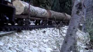 preview picture of video 'g scale garden railways srr 67 and 68 by snake point 11-09-2010.wmv'