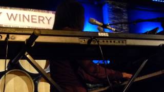 Vienna Teng @ City Winery, NYC - 4/23/2015