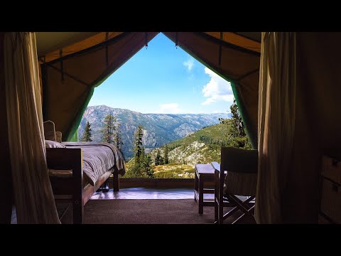 Chalet Bruin Arnold Ca