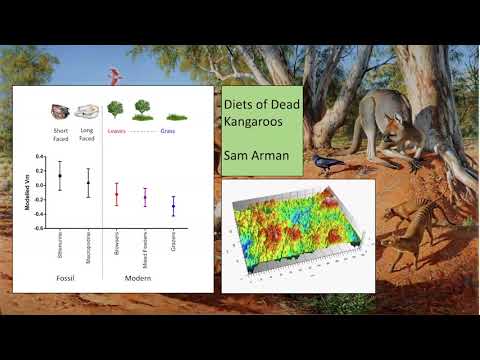 Sam Arman - Flinders University 3 Minute Thesis Final