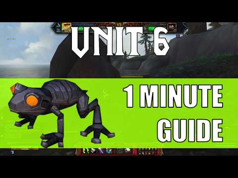 Unit 6 - Mechagon Pet Battle 1 Minute Guide