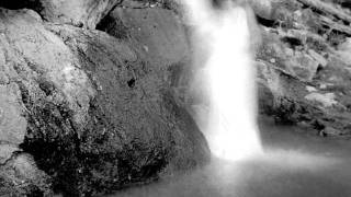 Tom Freund "Sweetly Calling My Name"