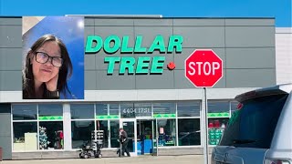 WHAT CAN YOU SEE AT THE DOLLAR TREE #dollartree #dollarstore
