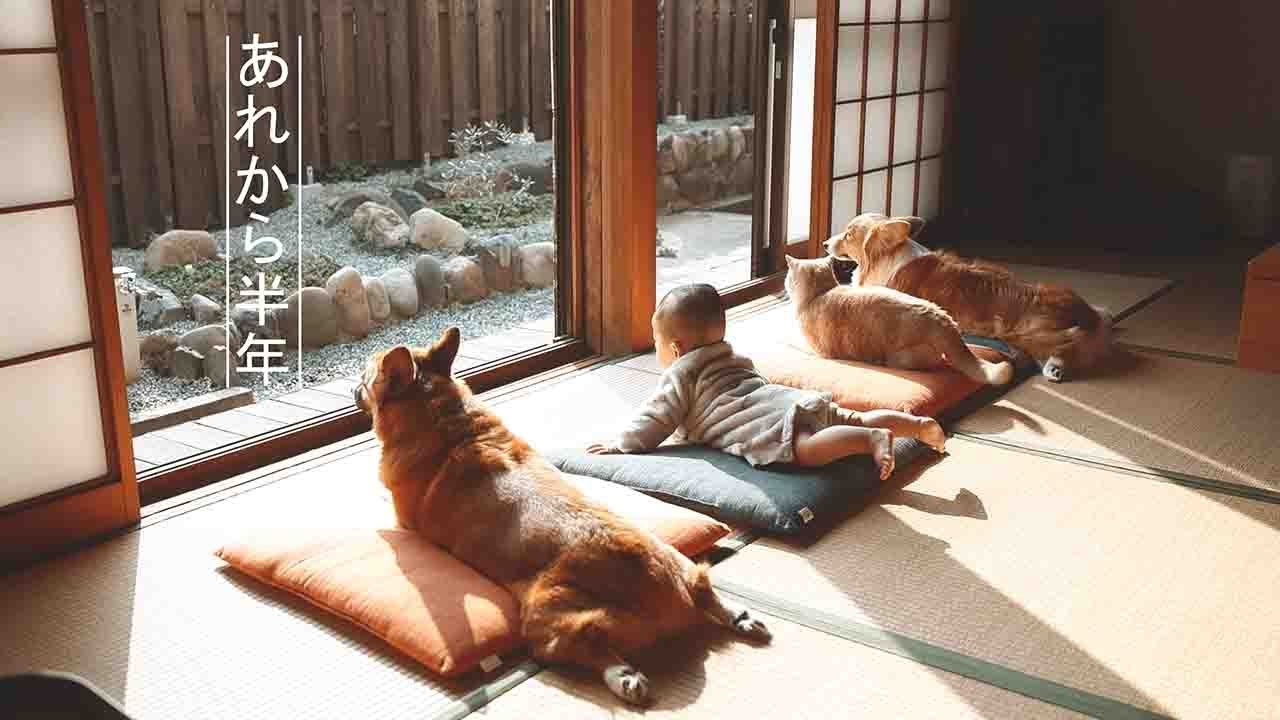 おひさしぶりです！