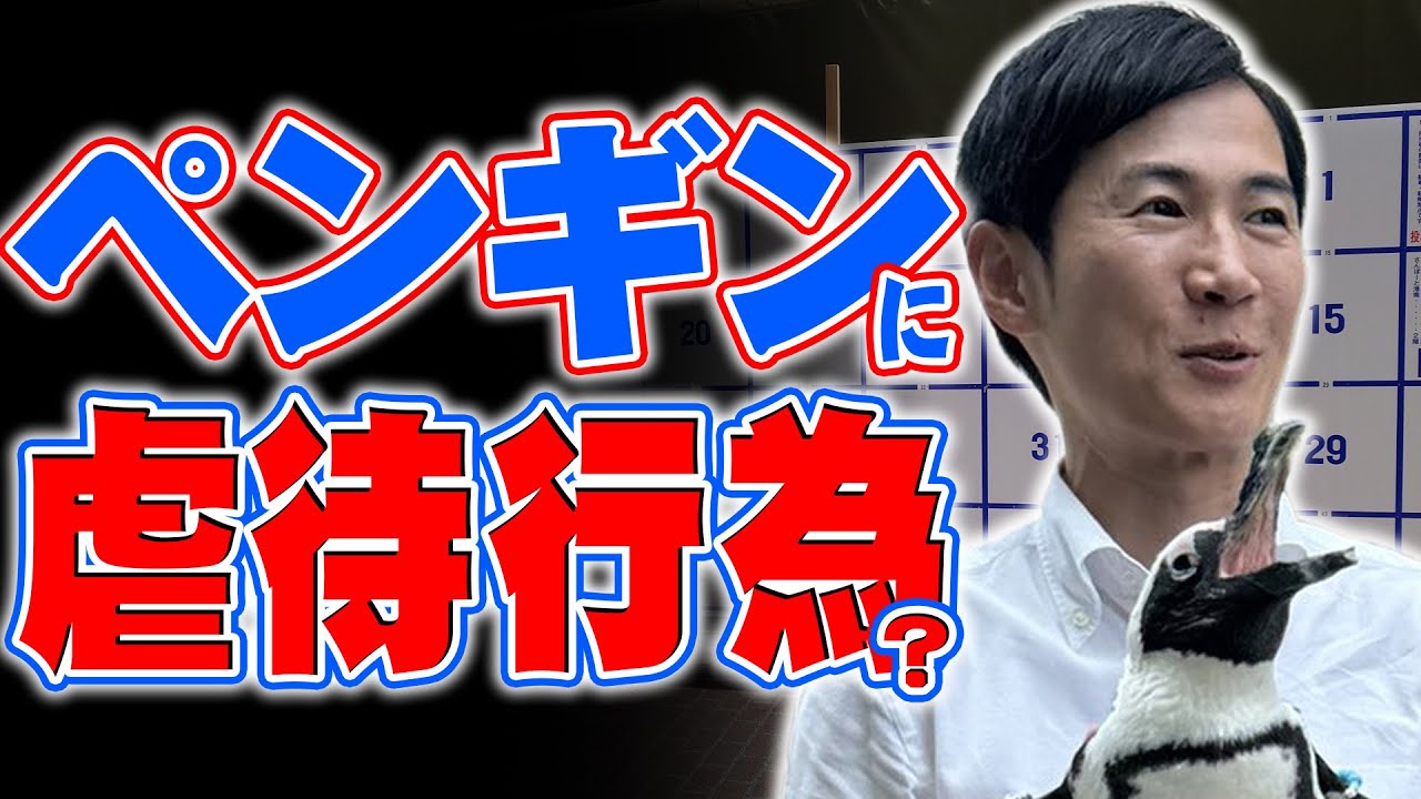 【石丸伸二】ペンギンを抱きかかえるも虐待じみていると炎上？参院選にあまりにも逆風？【再生の道】
