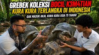 Download lagu NEKAT BOCIL K3M4TIAN TERNAK KURA KURA TERLANGKA DI INDONESIA GAK MASUK AKAL KURA KURA USIA 75 TAHUN mp3