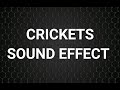 CRICKETS Sound Effect