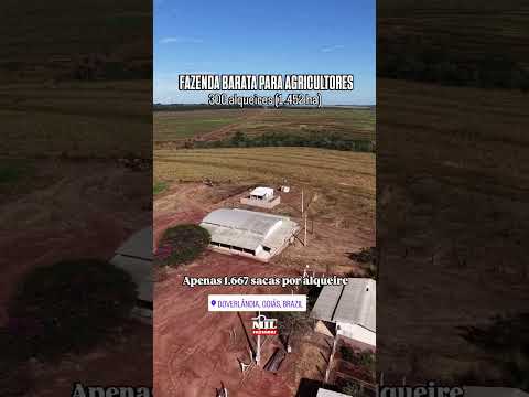 FAZENDA PRODUTIVA COM 300 ALQUEIRES 1.452 HA. EM DOVERLÂNDIA-GO #fazendaavenda #agro