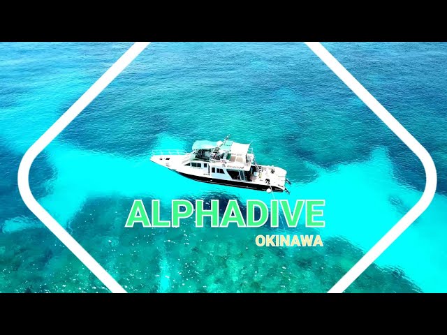 アルファダイブ沖縄(Alpha Dive Okinawa)