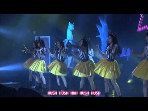 【HD繁體中字】  Apink 에이핑크  - HUSH @ Pink Paradise 1st Concert Live