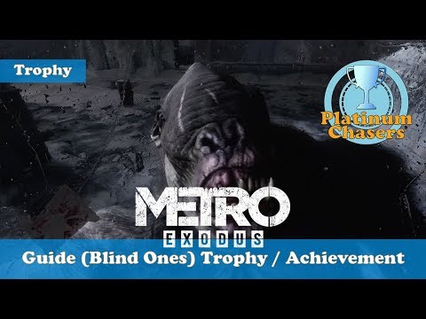 Guide (Blind Ones) Trophy / Achievement - Metro: Exodus
