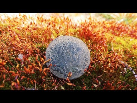 Wykopki odc 83 - Sreberko znienacka