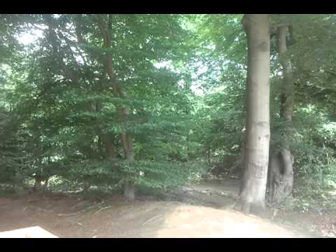 bakkeveen sterrenschans slotplaats bos