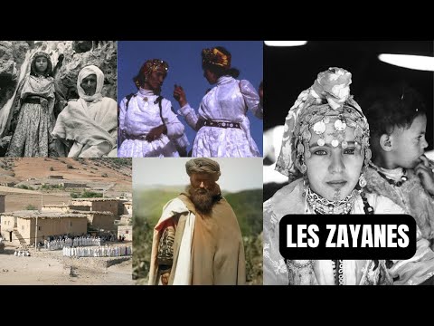 Who are the Zayanes?