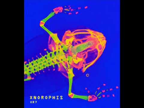 Xnorophis - Miracle Land Part 2