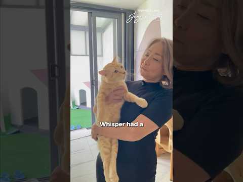 Ep 2 — The Promise