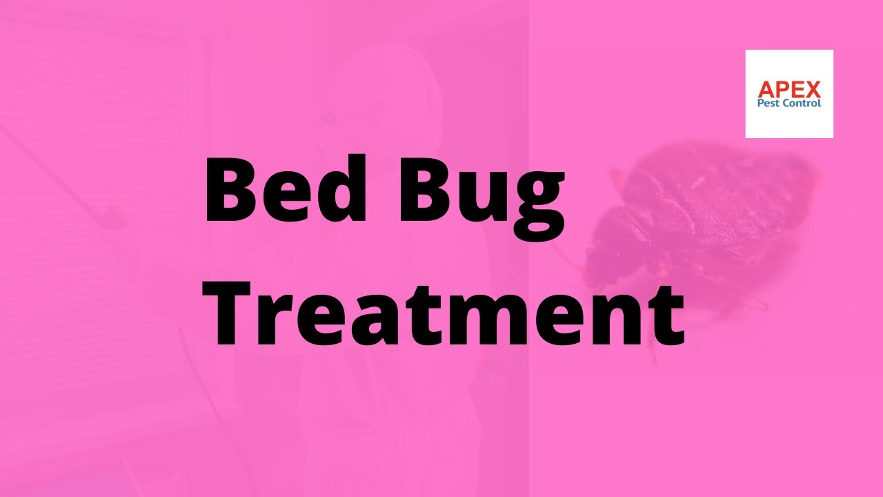 Bed Bug Treatment | Apex Pest Control Leeds