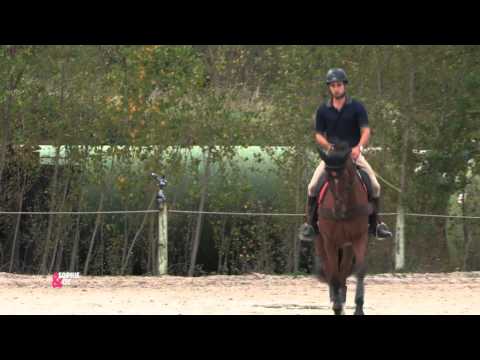 Demander un départ au galop à mon cheval