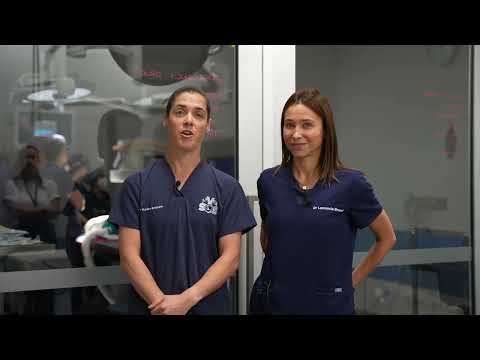 Transapical Edge-to-Edge Mitral Valve Repair (TEER) | Veterinary Specialists of Sydney