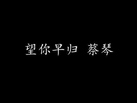 望你早归 蔡琴 (歌词版)