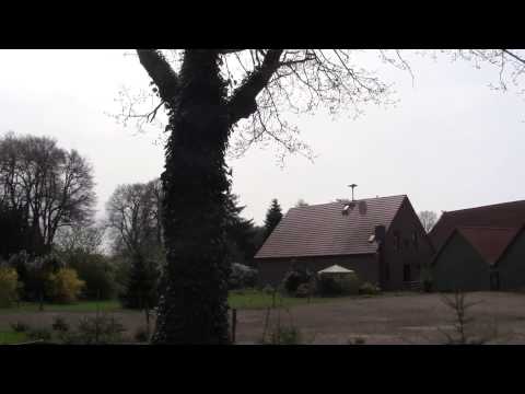 Sirenenalarm mit Zwischenfall - Feueralarm Sirene E57