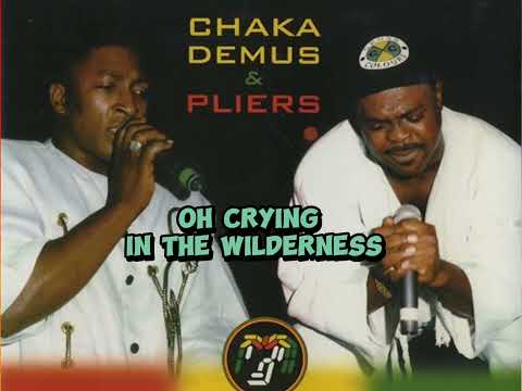 Chaka Demus and Pliers - Help Them Lord (lyrics)