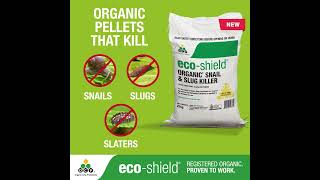 Download lagu eco-shield Organic Snail & Slug Killer mp3