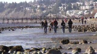 preview picture of video 'White Rock Beach, BC'