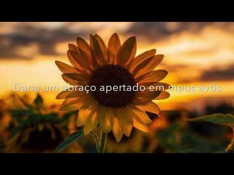 Girassol Priscilla Alcântara feat Whindersson Nunes |  Letra