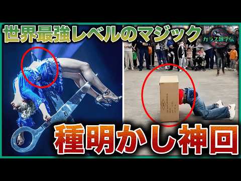 【種明かし神回】世界最強マジック8選の驚愕トリック！一瞬で衣装チェンジ、物体貫通の仕掛けがヤバすぎる！