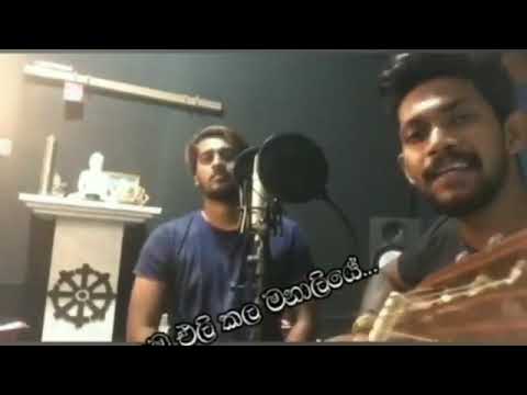 ඈ නීල වරල පීරලා || A Neela warala peerala cover song || අහලම බලන්න❤️