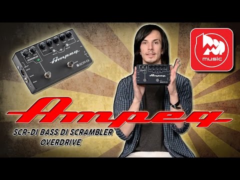 Обзор предусилитедя Ampeg SCR-DI