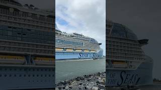 Star of the Seas sailing away! #shorts #staroftheseas #cruiseship #royalcaribbean  #portcanaveral