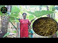 നാടൻ ചേമ്പില തോരൻ  | Chembila Thoran | Taro Leaf Recipe | Colocasia leaf Stir Fry