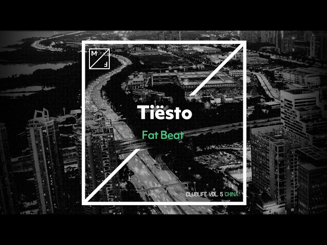 Tiesto - Fat Beat (Remix Stems)