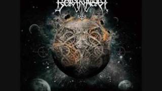 Borknagar-Reason