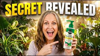 These Houseplants Are Thriving Because of This