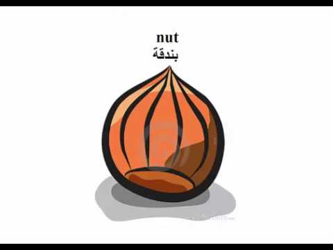 الدرس الرابع  الوحدة 12 ,منهج الصف الثاني الإبتدائي E