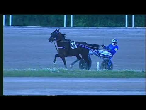 Napoli Trotto 11/11/2022 - 6ª corsa