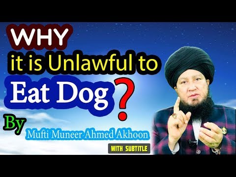Why it is unlawful to eat dog By Mufti Muneer Ahmad Akhon-RahamTV